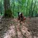 oboz-paintballowy-wandrus-bitwy-w-budynkach-w-terenie--img_20230714_130511842.jpg