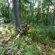 oboz-paintballowy-wandrus-bitwy-w-budynkach-w-terenie--img_20230714_130511948.jpg