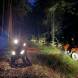 wandrus-obozy-quadowe-nocna-wyprawa-na-quadach-img_1842.jpg