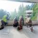 wandrus-obozy-paintballowe-quadowe-gokartowe-img_20230727_112310335.jpg