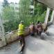 wandrus-obozy-paintballowe-quadowe-gokartowe-img_20230727_112310338.jpg