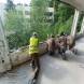 wandrus-obozy-paintballowe-quadowe-gokartowe-img_20230727_112310340.jpg