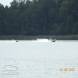 wandrus-oboz-soportow-wodnych-holowanie-za-motorowka-banan-oponka-narty-wodne-wakeboard-dscn6414.jpg