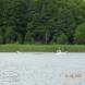 wandrus-oboz-soportow-wodnych-holowanie-za-motorowka-banan-oponka-narty-wodne-wakeboard-dscn6423.jpg