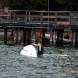 wandrus-oboz-windsurfingowy-i-sportow-wodnych-dscn6361.jpg