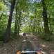 wandrus-obozy-quadowe-paintballowe-gokartowe-wyprawy-quadowe-w-terenie-img_2577.jpg