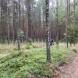 wandrus-obozy-quadowe-paintballowe-gokartowe-wyprawy-quadowe-w-terenie-img_2749.jpg