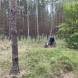 wandrus-obozy-quadowe-paintballowe-gokartowe-wyprawy-quadowe-w-terenie-img_2751.jpg