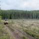 wandrus-obozy-quadowe-paintballowe-gokartowe-wyprawy-quadowe-w-terenie-img_2845.jpg