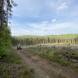 wandrus-obozy-quadowe-paintballowe-gokartowe-wyprawy-quadowe-w-terenie-img_2897.jpg
