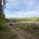 wandrus-obozy-quadowe-paintballowe-gokartowe-wyprawy-quadowe-w-terenie-img_2898.jpg
