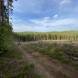 wandrus-obozy-quadowe-paintballowe-gokartowe-wyprawy-quadowe-w-terenie-img_2905.jpg