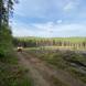 wandrus-obozy-quadowe-paintballowe-gokartowe-wyprawy-quadowe-w-terenie-img_2908.jpg