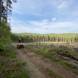 wandrus-obozy-quadowe-paintballowe-gokartowe-wyprawy-quadowe-w-terenie-img_2909.jpg