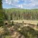 wandrus-obozy-quadowe-paintballowe-gokartowe-wyprawy-quadowe-w-terenie-img_2932.jpg