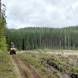wandrus-obozy-quadowe-paintballowe-gokartowe-wyprawy-quadowe-w-terenie-img_2965.jpg