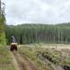wandrus-obozy-quadowe-paintballowe-gokartowe-wyprawy-quadowe-w-terenie-img_2966.jpg