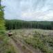 wandrus-obozy-quadowe-paintballowe-gokartowe-wyprawy-quadowe-w-terenie-img_2978.jpg