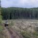 wandrus-obozy-quadowe-paintballowe-gokartowe-wyprawy-quadowe-w-terenie-img_2982.jpg