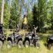 wandrus-obozy-quadowe-paintballowe-gokartowe-wyprawy-quadowe-w-terenie-img_2990.jpg