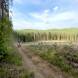 wandrus-obozy-quadowe-paintballowe-gokartowe-wyprawy-quadowe-w-terenie-img_3027.jpg
