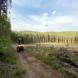 wandrus-obozy-quadowe-paintballowe-gokartowe-wyprawy-quadowe-w-terenie-img_3031.jpg