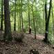 obozy-paintballowe-quadowe-gokartowe-wandrus-bitwy-paintballowe-w-terenie-img_20230805_000033.jpg