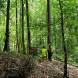 obozy-paintballowe-quadowe-gokartowe-wandrus-bitwy-paintballowe-w-terenie-img_20230805_000034.jpg