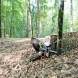 obozy-paintballowe-quadowe-gokartowe-wandrus-bitwy-paintballowe-w-terenie-img_20230805_000042.jpg