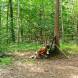 obozy-paintballowe-quadowe-gokartowe-wandrus-bitwy-paintballowe-w-terenie-img_20230805_000112.jpg
