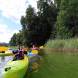 wandrus-obozy-przygody-zajecia-na-wodzie-wyprawy-kajakowe-deski-sup-lodzie-wioslowe-rejsy-motorowka-img_20230806_000058.jpg