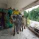obozy-paintballowe-quadowe-gokartowe-wandrus-paintball-w-opuszczonych-budynkach-img_20230813_115031713.jpg