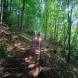 obozy-quadowe--gokartowe-paintballowe-wandrus-wyprawa-na-quadach-off-road-w-terenie-img_20230806_aaaaaaact.jpg