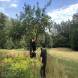 obozy-quadowe-paintballowe-gokartowe-wandrus-wyprawy-quadowe-off-road-w-teren-img_7551.jpg