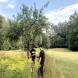 obozy-quadowe-paintballowe-gokartowe-wandrus-wyprawy-quadowe-off-road-w-teren-img_7554.jpg