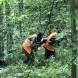 obozy-paintballowe-quadowe-gokartowe-wandrus-img_3650.jpg