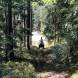 obozy-quadowe-gokartowe-paintballowe-wandrus-img_5356.jpg