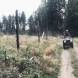 obozy-quadowe-gokartowe-paintballowe-wandrus-img_5413.jpg