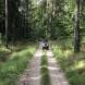 obozy-quadowe-gokartowe-paintballowe-wandrus-img_5425.jpg