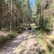 obozy-quadowe-gokartowe-paintballowe-wandrus-img_5499.jpg