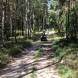 obozy-quadowe-gokartowe-paintballowe-wandrus-img_5505.jpg