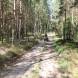 obozy-quadowe-gokartowe-paintballowe-wandrus-img_5512.jpg