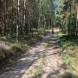 obozy-quadowe-gokartowe-paintballowe-wandrus-img_5517.jpg