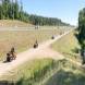 obozy-quadowe-gokartowe-paintballowe-wandrus-img_5530.jpg