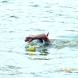 oboz-sportow-wodnych-z-kursem-na-ratownika-wopr-i-ratownika-wodnego-wandrus-dscn7546.jpg