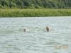 oboz-sportow-wodnych-z-kursem-na-ratownika-wopr-i-ratownika-wodnego-wandrus-dscn6972.jpg